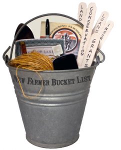 bucket with stuff inside
