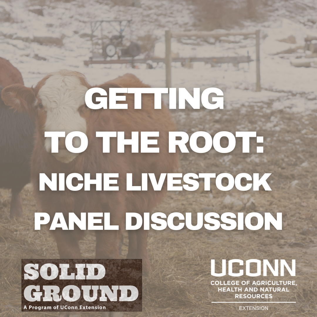 getting to the root: niche livestock panel discussion