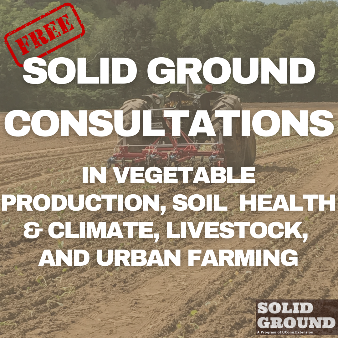 Solid Ground Free Consultations